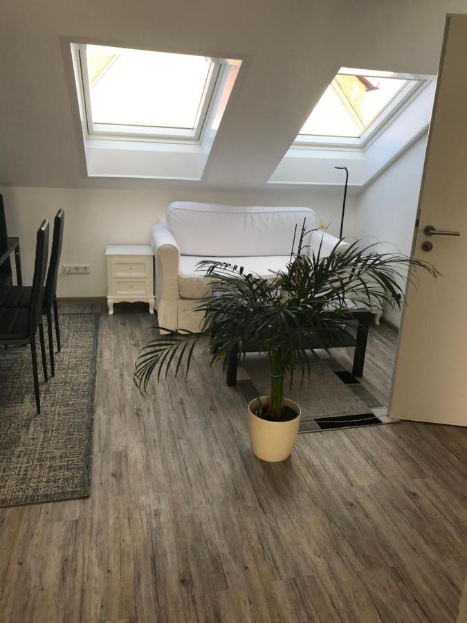 Jeannette Apartment Balingen Exterior foto